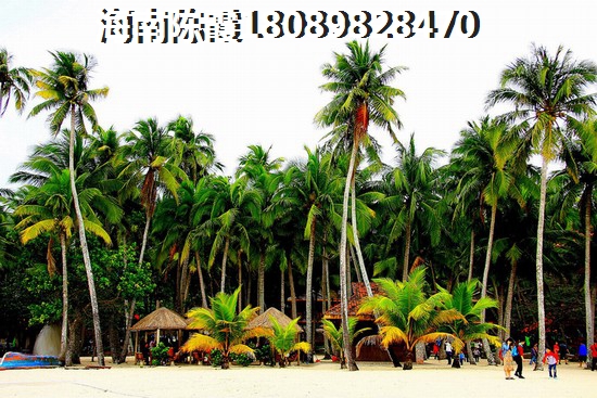 海南万宁世纪桃源现在买房还有生纸空间吗？