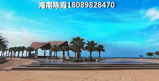 深圳龙岗楼盘醉新价格跌了吗