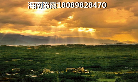 绿城物业保安定义是什么