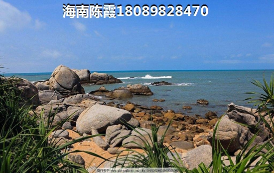 为什么下面的毛是弯弯曲曲的