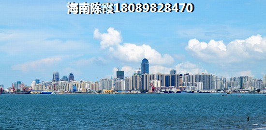暖宝宝是什么意思