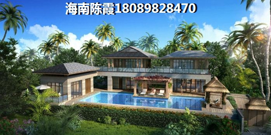 你就是我的风景专辑封面