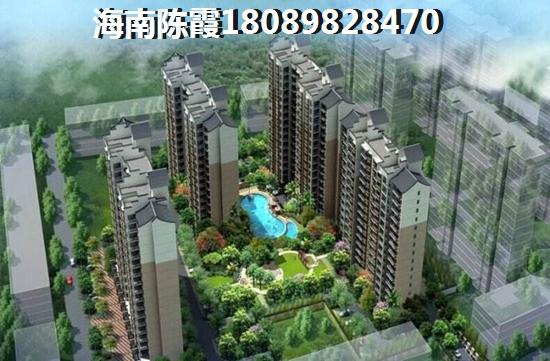 摄影指导陈家瑛